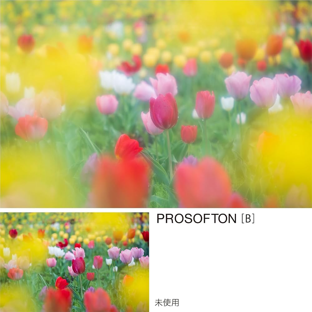 [Эксклюзивно для Amazon.co.jp] Kenko PRO1D Pro Softon [B] (W) Мягкий фильтр 49 мм - Сильный эффект мягкой диффузии - Создает striking-эффект, размывая свет