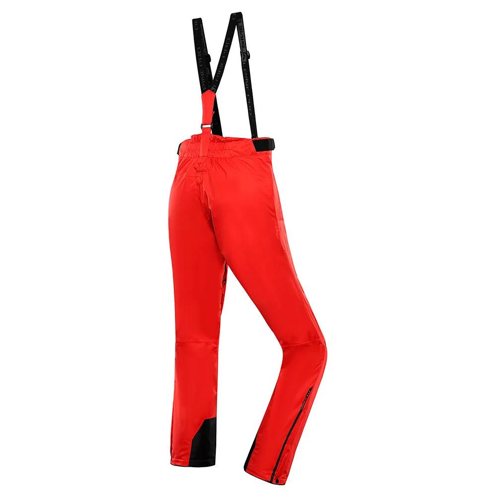 Alpine Pro Брюки Edes