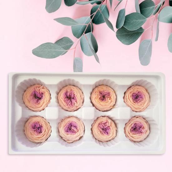 Нежные бессмертные цветы, действительно выглядящие, элегантные, экологически чистые