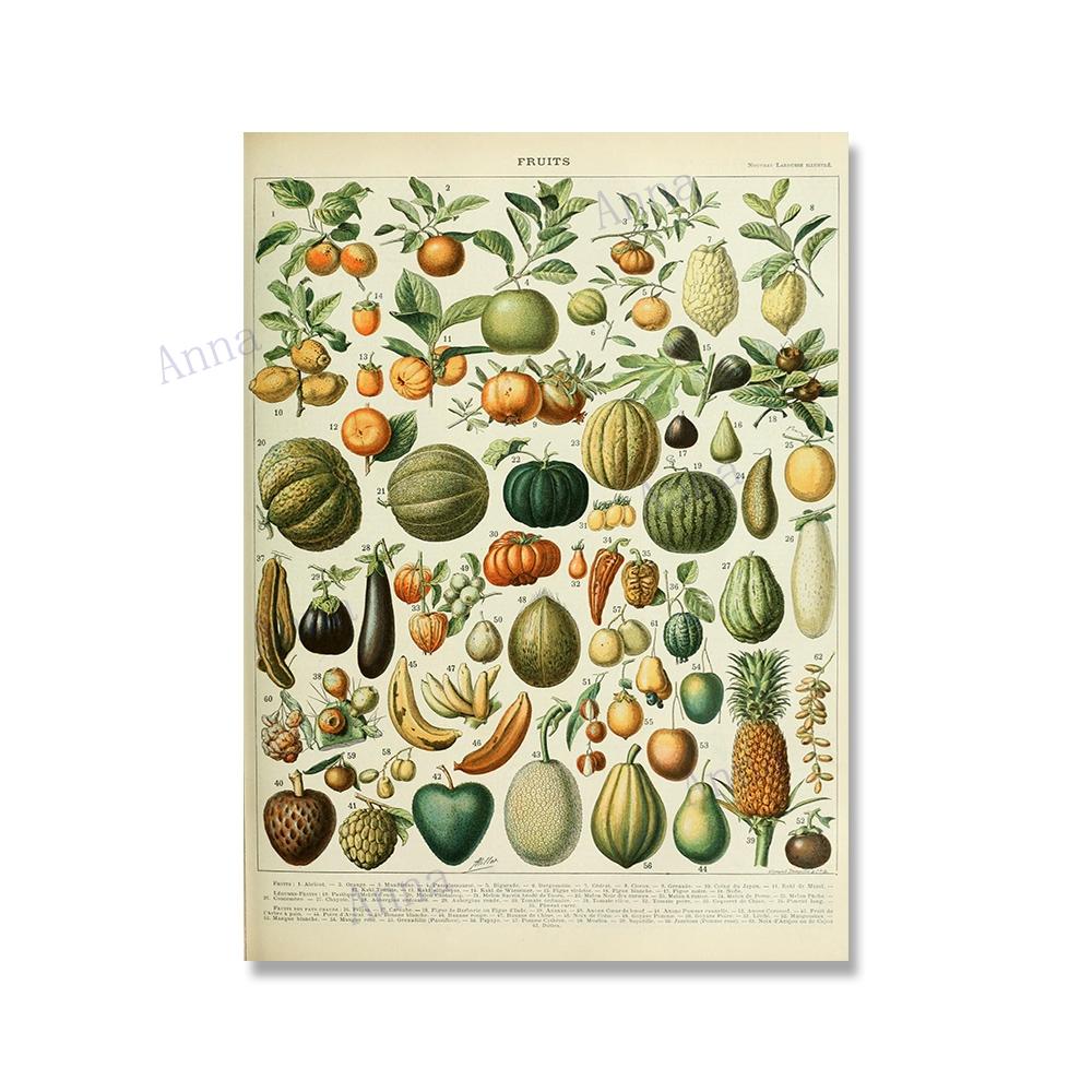 Adolphe Millot Encyclopedia Poster Fruit Botanical Mushrooms Herbs Flowers Canvas Paintings Print Vintage Wall Art Room Decor
