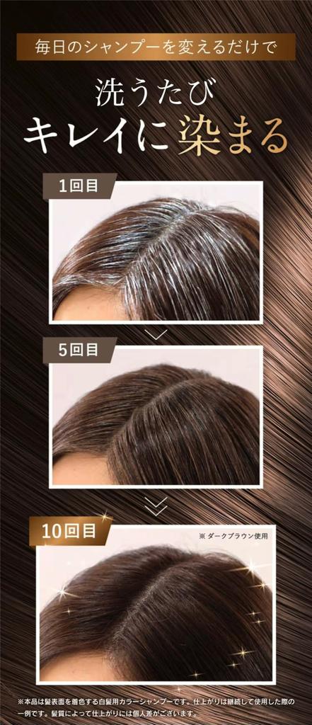 Sastty Gray Rishiri Color Shampoo светло-коричневый, большой объем 500 мл, набор из 2 кондиционеров для ухода за цветом, бонус 6 пакетов [для волос] [Rishiri включен]