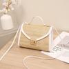 Straw Bag New Lock Metal Small Square Bag Women's Bag Fashion Casual Simple Shoulder Bag Mobile Phone Bag