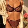 Women Flocked Heart Printed Lace Trim Lingerie Set Ultra-Thin Sheer See Through Underwear Set Sexy Underwire Push-Up Bra and Panties Set
