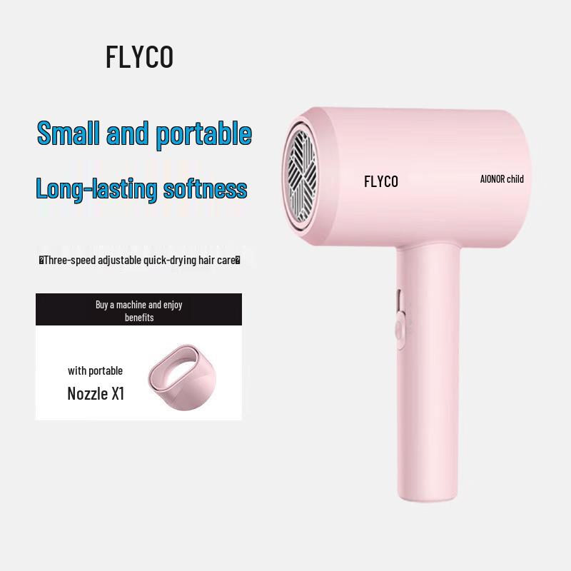 FLYCO FH6291 Negative Ion Hair Dryer CN plug (adapter included)