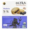 Fruit & Grain Bites, Blueberry, 4 Packs, 1.32 Oz (37.5 G) Each