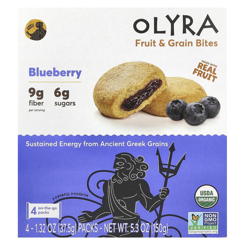 Fruit & Grain Bites, Blueberry, 4 Packs, 1.32 oz (37.5 g) Each