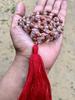 Indian Origin Rudraksha + Sfatik/ Sphatik Mala 108+1 Bead  5 mukhi 5 faces Lord Shivas Rosary Jaap Mala Yoga Prayer Healing Meditation 6 mm