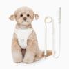 Pet Pet Pet Dog Harness + Leash Set, Beige