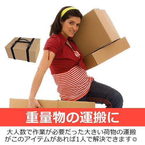 Pacify Carrying Strap for Moving Luggage, Furniture, Cardboard Boxes, and More, Easy Transport, Single-Person Carrier, Adjustable Length, High Stabili