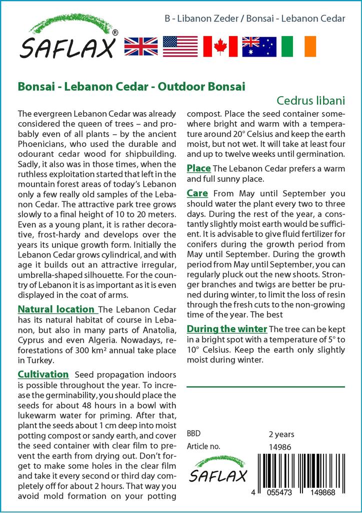SAFLAX Garden in the Bag - Бонсай - Ливанский кедр - 20 семян - С субстратом в подходящем пакете - Cedrus libani