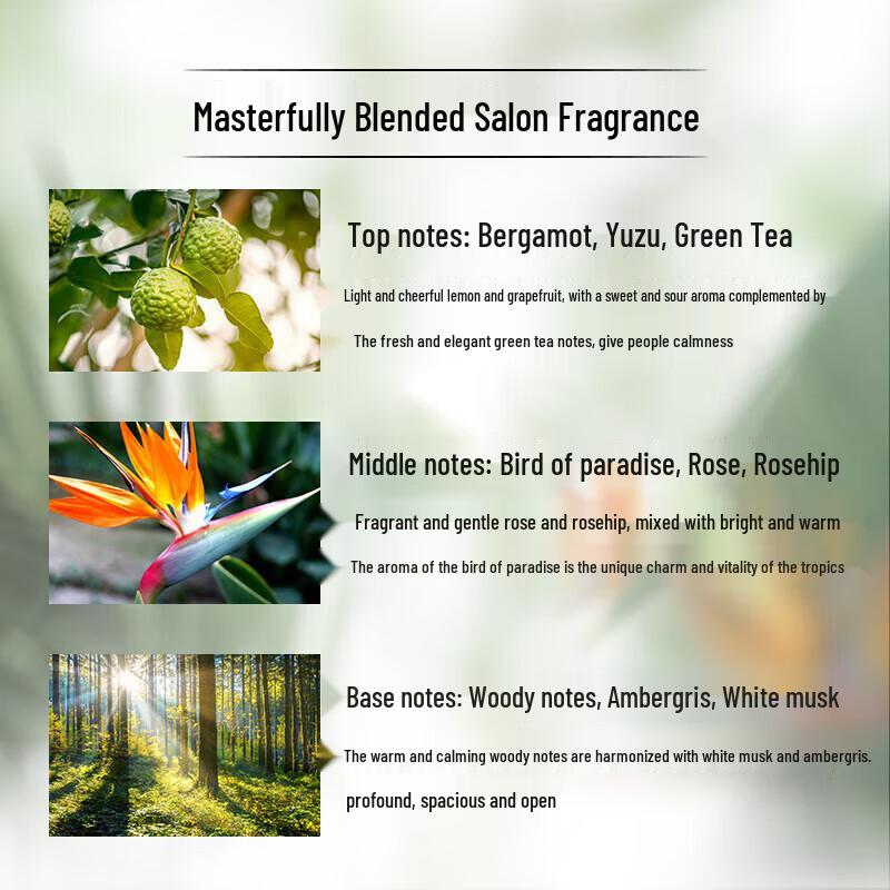 Lux Plant Essential Oil Bird of Paradise & Rosehip Shower Gel 550g