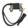 Leihuo Катушка зажигания + Свеча зажигания Подходит 168F GX110 GX120 GX140 GX160 GX200 5.5 л.с. 6.5 л.с. Двигатель Мотор Катушка зажигания