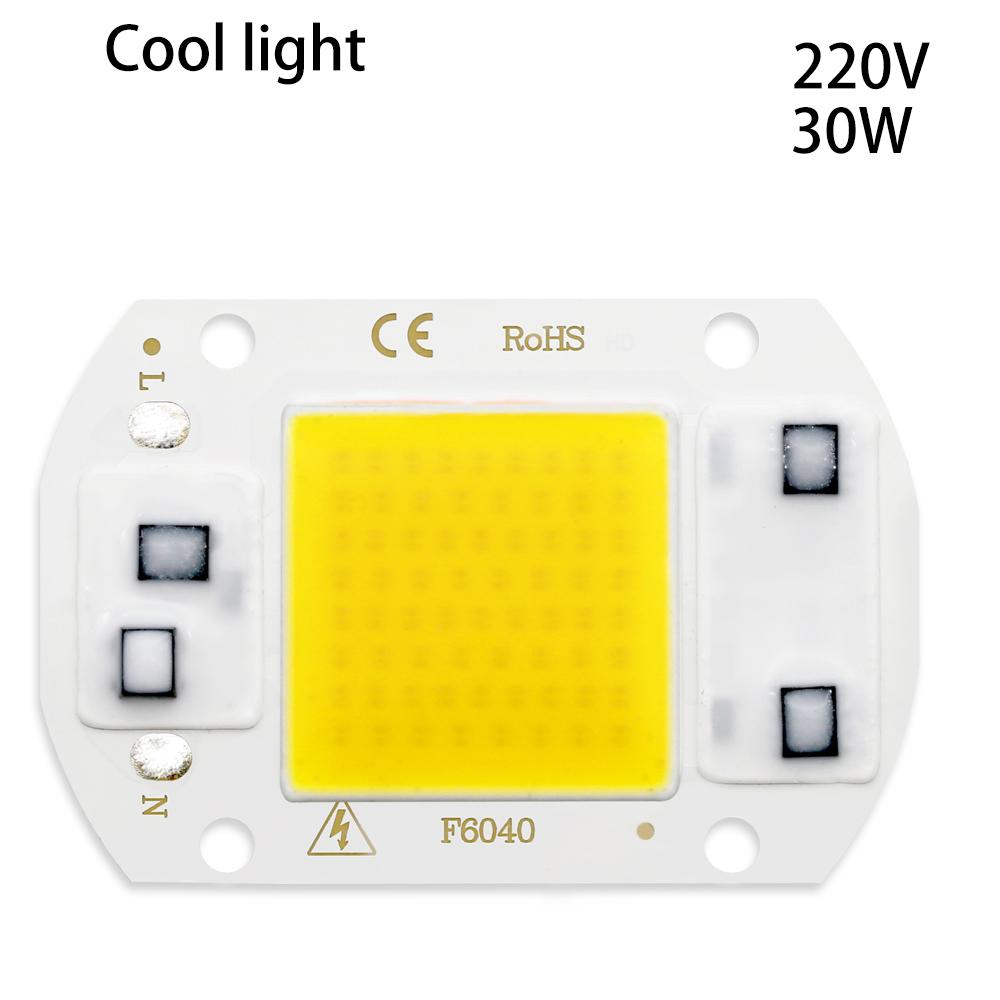 LED Lights COB LED Lamps CHIP AC 220V 50W 30W 20W 10W Hight Brightness Lighting COB Lights Chip For DIY Smart IC Full Spectrum Flood Light