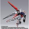 BANDAI SPIRITS METAL BUILD Ale Striker BUILD 10th -METAL Ver.-