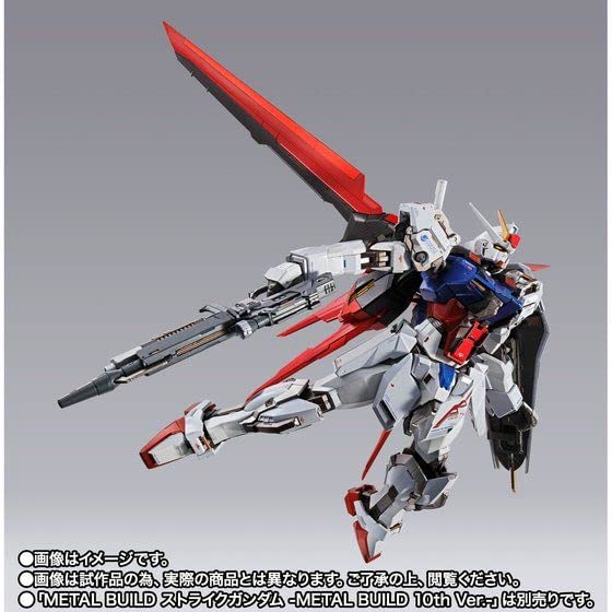 BANDAI SPIRITS METAL BUILD Ale Striker BUILD 10th -METAL Ver.-