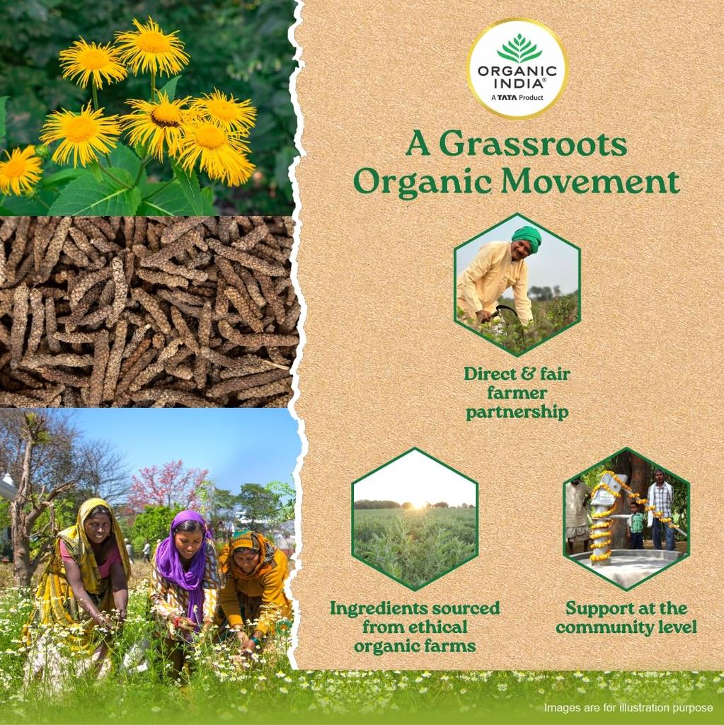 ORGANIC INDIA Breathe Free 60 растительных капсул для комфортного дыхания, облегчения заложенности и поддержки легких, натуральная травяная формула