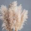 Yousheng 1/2/3/4/5Pcs Artificial Pampas Grass Bohemia Realistic Fluffy Fake Dried Grass Home Office Wedding Party Table Centerpiece Boho Decor