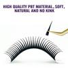 0.07mm Wet Lashes Wispy Spikes Lashes New Manga Lashes  Eyelash Extension