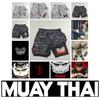 Berserk Muay Thai Kick Boxing UFC MMA Mixed Marcial Art Shorts Anime Men Women Unisex Double Layer Quick Dry Breathable Sport Gym Fitness Workout