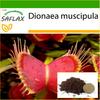 Venus Fly Trap - 10 Seeds - With Potting Substrate for Better Cultivation - Dionaea Muscipula