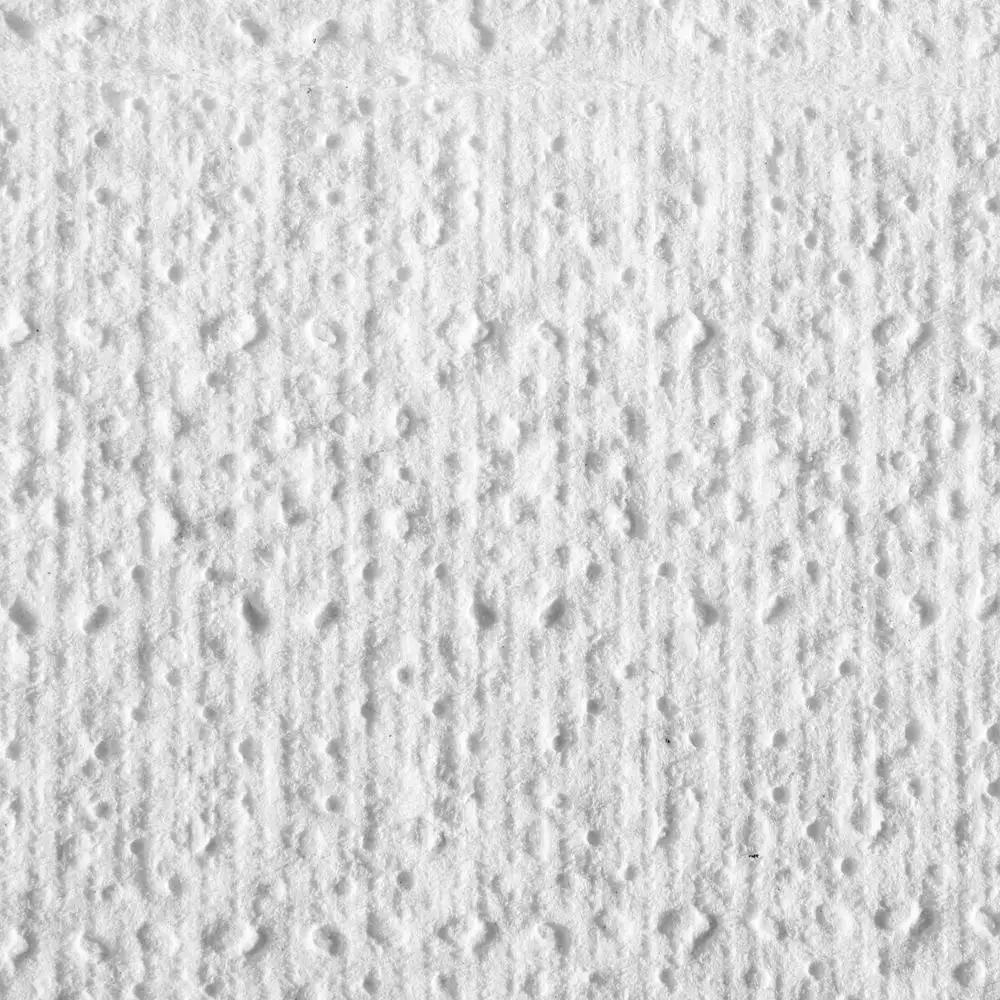 Blue Select Multi-Fold 2 Ply Paper Towel 9 1/5 x 9 2/5 White Absorbing Hand Drying Elegant Design Multipurpose 2000 Towels CT