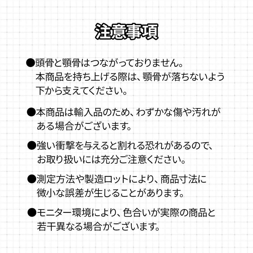 GlowBit Horror Halloween Decoration Human Body Model Prank Decoration Skull Peel Off Skeleton Bones Specimen Toy Haunted House Dentist Skull