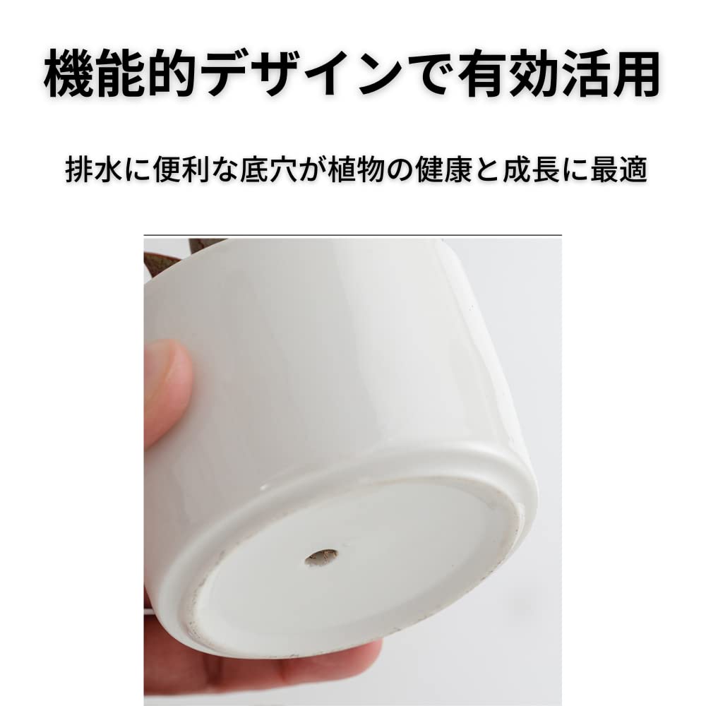 Ребристый Суккулент Керамический Кактус Мини Подходит для Мини Керамики Без Бамбуковой Тарелки В Комплекте Горшок, Горшок, Горшок, Горшок, Растения, Белый, Растение, (Набор 4)