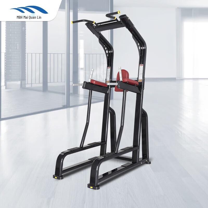 Smait Fitness Commercial Pull-up & Knee Raise Station