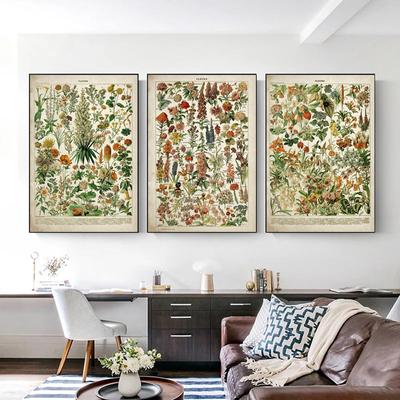 Винтажный цветок, антикварная цветочная картина на холсте, ботанические постеры, принты, настенные художественные фотографии для украшения стен гостиной, Cuadros