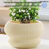 Large Creative Ceramic Flower Pot with Tray - Ideal for Chlorophytum & Succulents