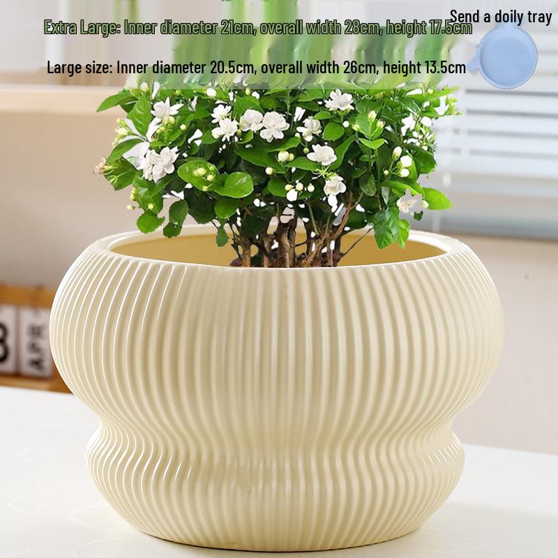 Large Creative Ceramic Flower Pot with Tray - Ideal for Chlorophytum & Succulents