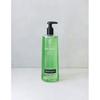 Rainbath Fair Green Tea Body Wash 473ml