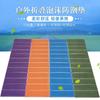 Moisture-proof mat Outdoor XPE egg trough floor mat Folding nap Aluminum film egg nest Portable camping mat Tent camping