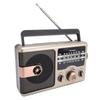 AM FM SW Portable Full Band Radio BT Speaker Storage Memory Card Multifunctional Music Player Gold