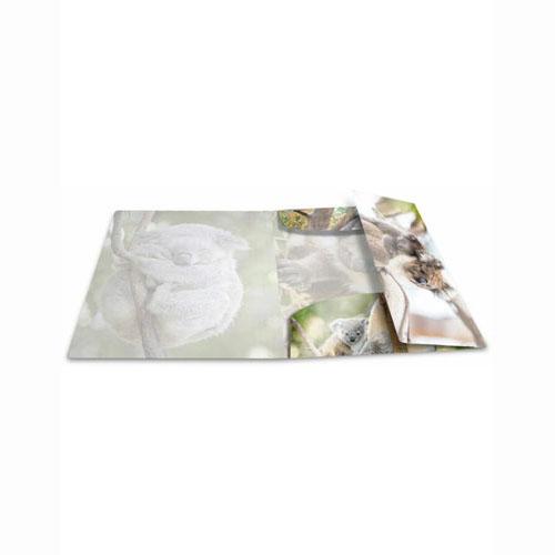 Папка Herma Elasticated Glossy PP A4 Животные (Коала)