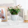 Hydroponic Plants Pot Self Watering Flowerpot Indoor Self-watering Mini Succulent Planter Tabletop Vase Home Office Bonsai Decor