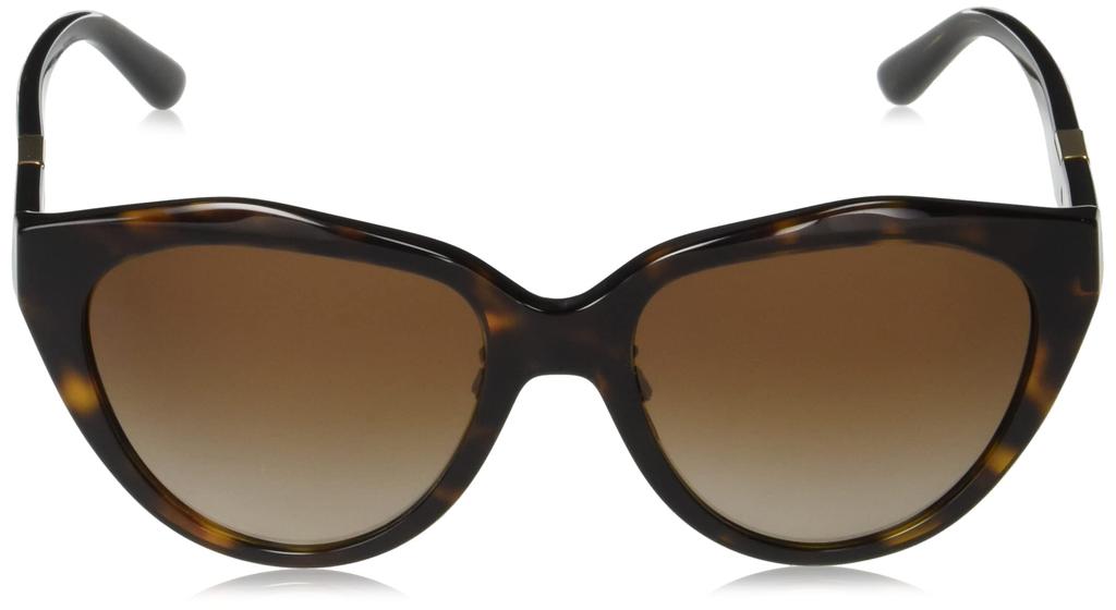 Солнцезащитные очки EA4178F Коричневая градиентная линза 55 [Emporio Armani] Гавана/Темный