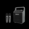 Портативная Bluetooth-колонка для караоке EDIFIER PP205S, штекер CN (адаптер в комплекте)