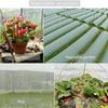 Greenhouse Protective Net Fruit Vegetables Care Cover Insect Net Garden Net