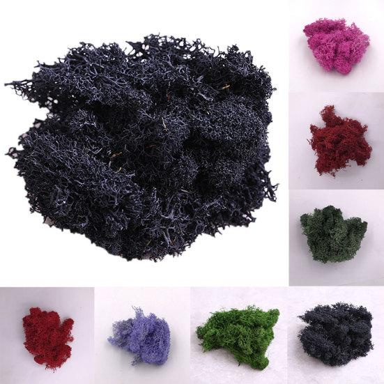 Искусственное растение консервированный цветок олений мох DIY Craft Garden Home Decor