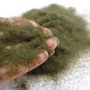 Material Garden Artificial Moss DIY Accessories Micro Landscape Decoration Artificial Grass Powder