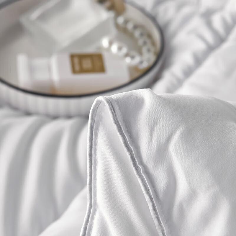 Yalu Cloud Soft Brushed Polyester Winter Quilt