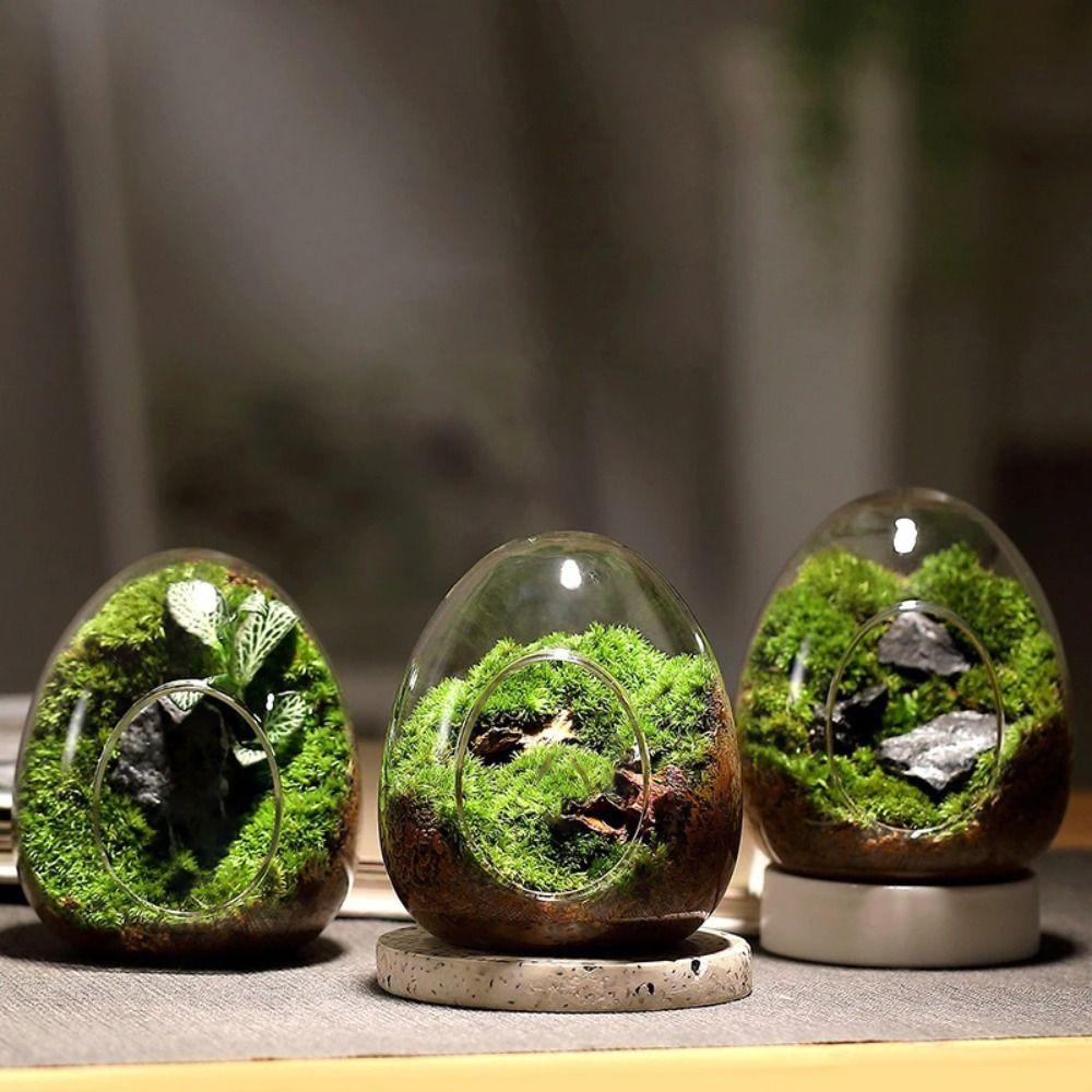 Egg-shaped Terrarium Succulent Glass Vase Micro Landscape Glass Home Decoration Glass Bottles
