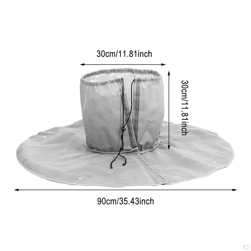 Корень пальмы для зимы, укрытие растений в холодных условиях