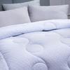 Mercury Home Textiles DH Negative Ion All-Season Fiber Quilt