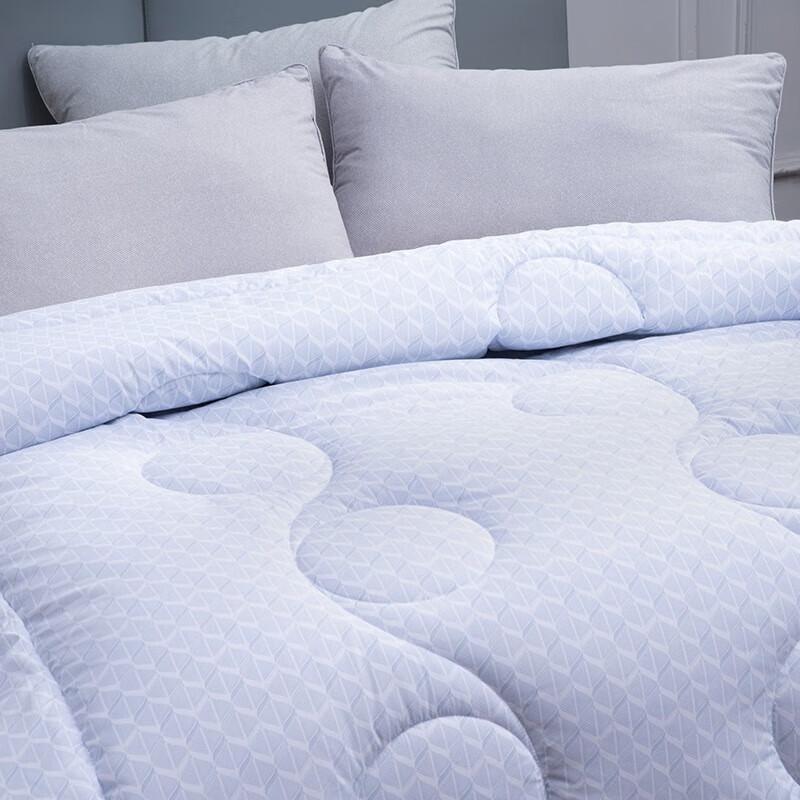 Mercury Home Textiles DH Negative Ion All-Season Fiber Quilt