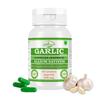 Morsan Nutraveda Garlic Extract Capsule - 60 Veg. Capsules X 500 Mg. | Supports Heart Health, Immunity(2 Packs of 60 Capsules)