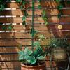 Sturdy Spiral Plant Trellis Support Stable Versatile Vines Flowers Metal Rack for Indoor Outdoor Gardens
