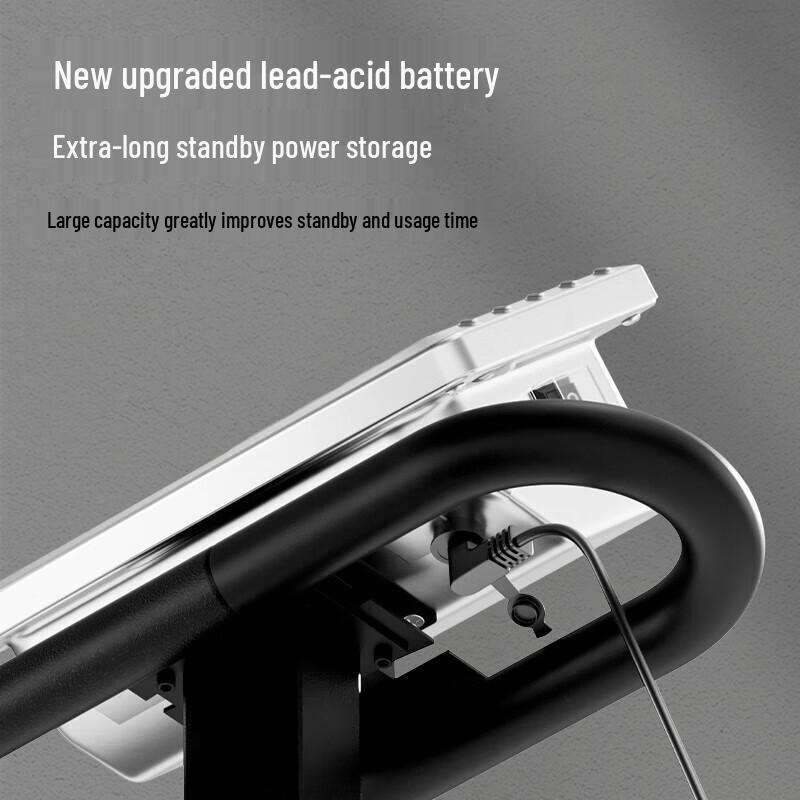 Dongmei 300 кг Высокоточные Коммерческие Платформенные Весы