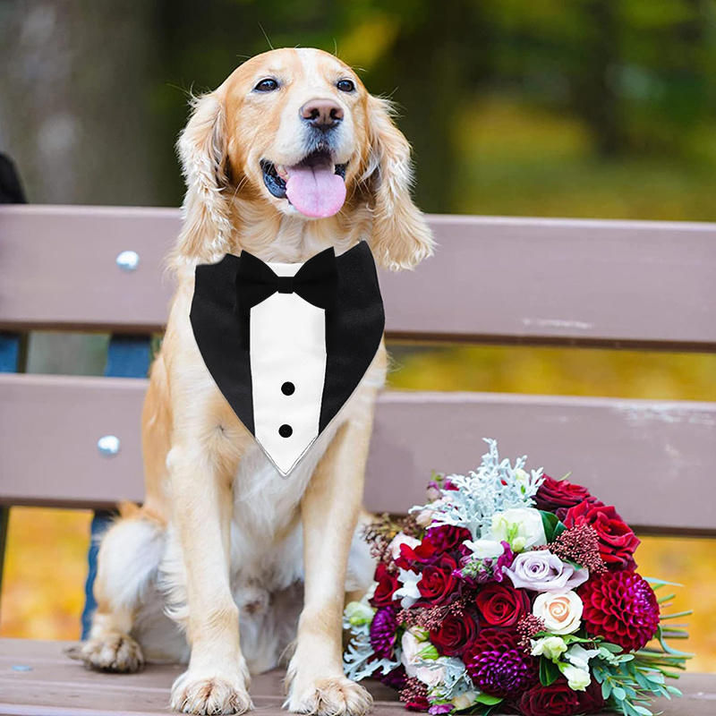 Formal Dog Tuxedo Suit Wedding Dog Collar with BowTie Adjustable Pet Wedding Collar Birthday Bandana for Small Medium Large Dogs